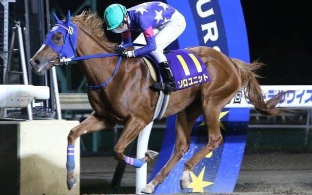 【エーデルワイス賞回顧】スピードの違いで5連勝ソロユニット(斎藤修)