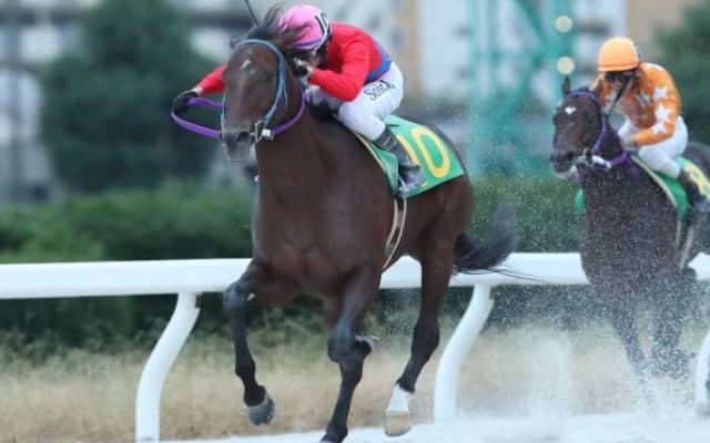 【トルマリンOP】ウインハイラントが抜け出して完勝、復帰2戦目のカツゲキキトキトは3着