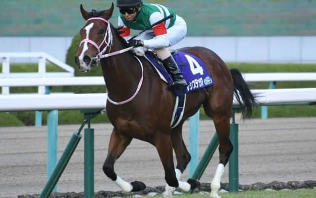 2歳女王レシステンシアはマイルCSかエリザベス女王杯での復帰を視野