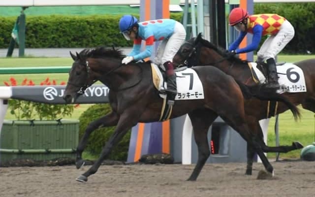 【京都4R新馬戦結果】ラッキーモーが人気に応えて差し切りV