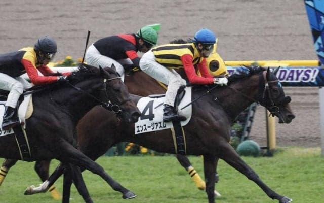 【東京3R】ディープ産駒 エンスージアズムが接戦を制する！