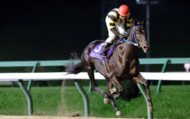 【盛岡・若駒賞】1番人気に推されたリュウノシンゲンが4馬身差をつけて完勝