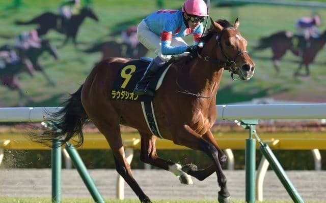 【富士S見どころ】3歳マイル王ラウダシオンら好メンバーが激突