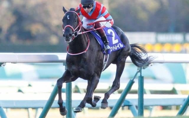 【菊花賞見どころ】コントレイルが父ディープインパクト以来の偉業に挑む