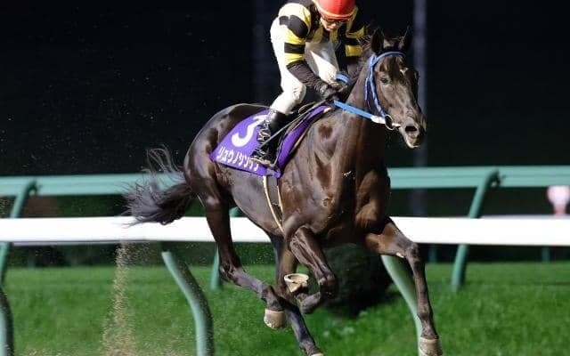 【盛岡・若駒賞結果】断然人気のリュウノシンゲンが4馬身差快勝