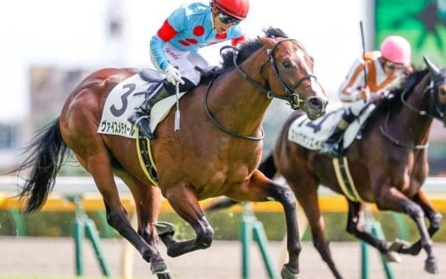 【東京5R新馬戦結果】2番人気ヴァイスメテオールが初陣飾る