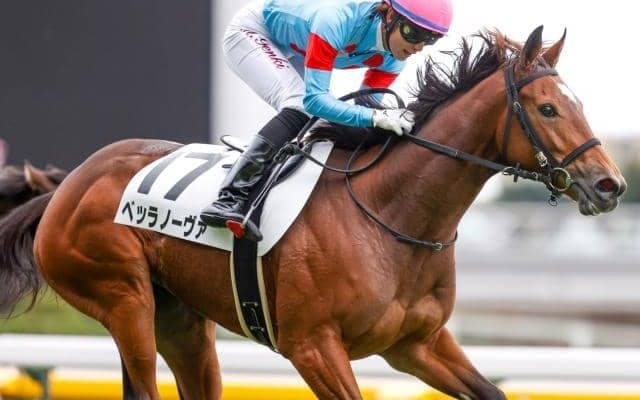 【東京4R新馬戦結果】ベッラノーヴァが突き抜け快勝