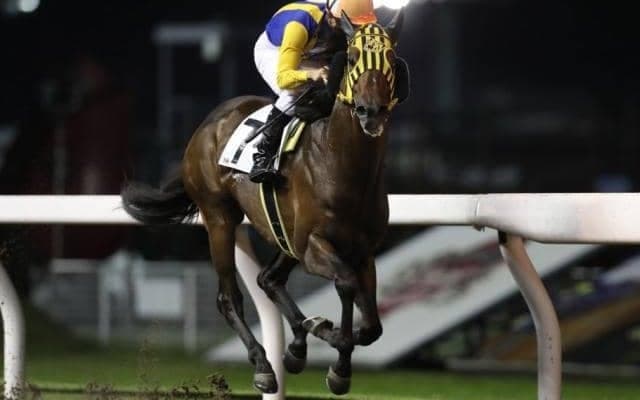 【埼玉新聞栄冠賞】好メンバーが集結！リンゾウチャネルは3枠3番、オールブラッシュは6枠7番