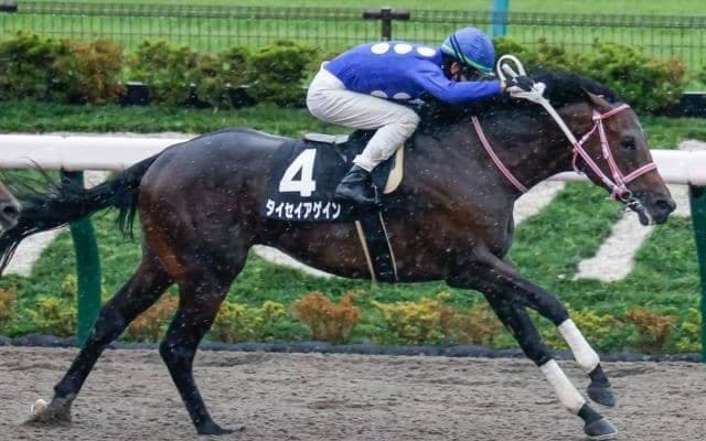 【JBC2歳優駿】JRAからは函館2歳S・2着のルーチェドーロらが出走予定