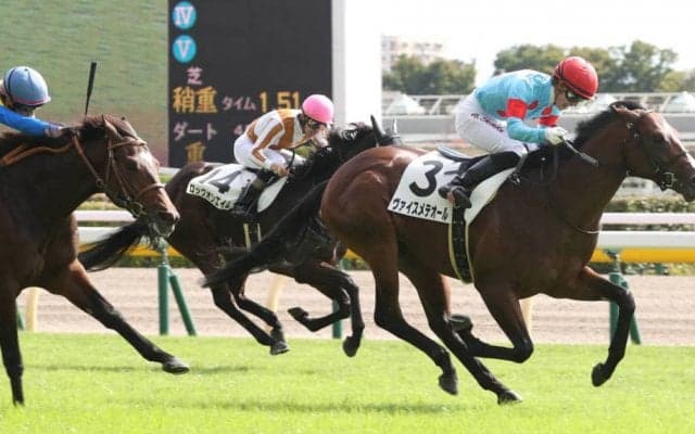 【新馬/東京5R】ヴァイスメテオールがデビューV！サトノクラウン半弟は敗れる