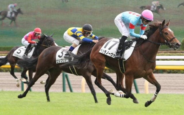 【新馬/東京4R】エピファネイア産駒 ベッラノーヴァが堂々の差し切りV