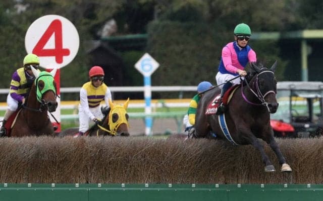 【東京ハイジャンプ】メイショウダッサイが人気に応えて障害重賞2勝目！
