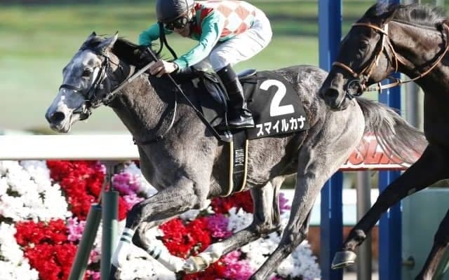 【富士S予想オッズ】3歳牝馬スマイルカナが人気の中心