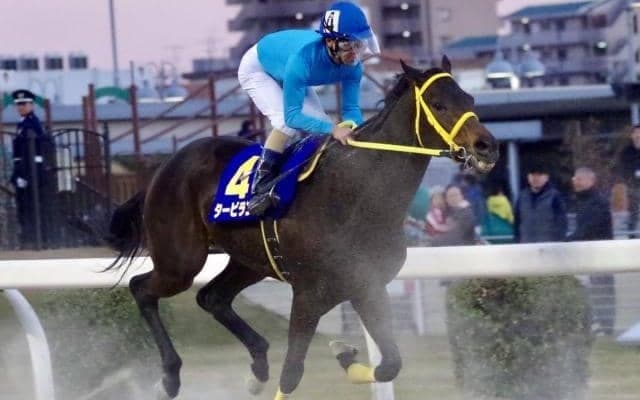 【埼玉新聞栄冠賞予想】世代を超えた実力馬が揃って混戦模様!!/NARレース展望