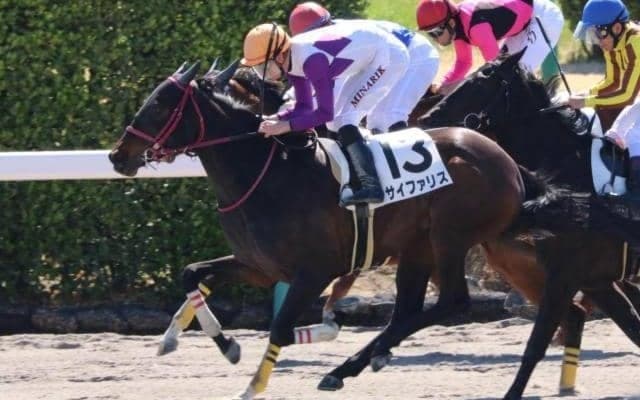 【門別競馬情報】得意の1800mで巻き返すかサイファリス。戦法一新、先行策で古馬編入後初Vかライトロング「ドレフォン・プレミアム」/地方競馬情報