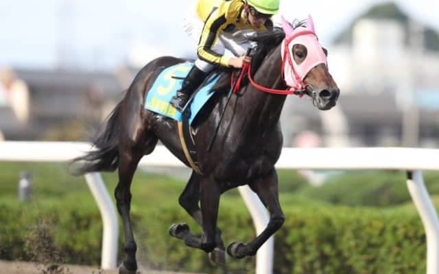 【YJS浦和第1戦】菅原明良騎手が1番人気ニシノマリアージュで勝利！