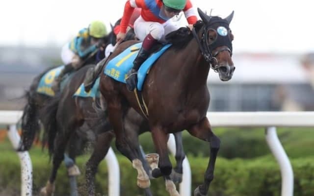 【YJS浦和第2戦】大井の吉井章騎手が6番人気アルジャディで勝利！