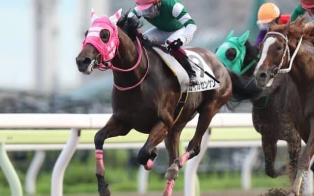 【JBC2歳優駿】カイカセンゲン・リーチ・シビックドライヴなど地方所属の選定馬