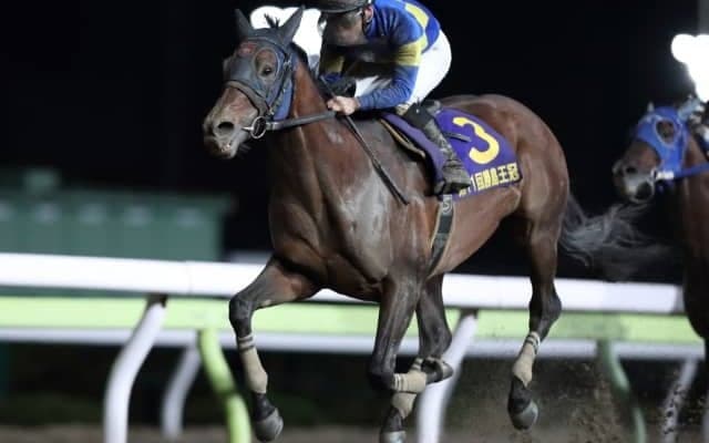 【JBCクラシック】ノンコノユメ・サウンドトゥルー・モジアナフレイバーなど地方所属の選定馬