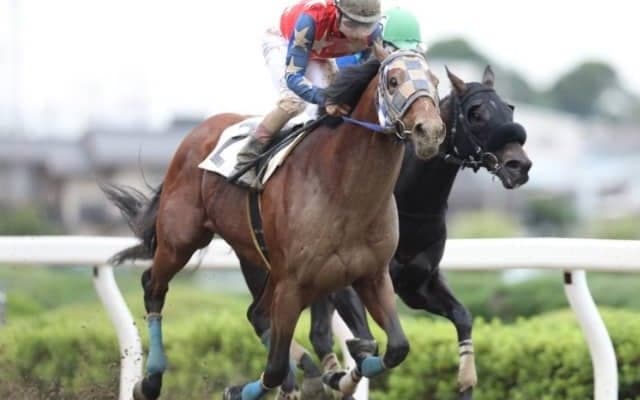 【JBCスプリント】ブルドッグボス・ベストマッチョ・メイショウアイアンなど地方所属の選定馬