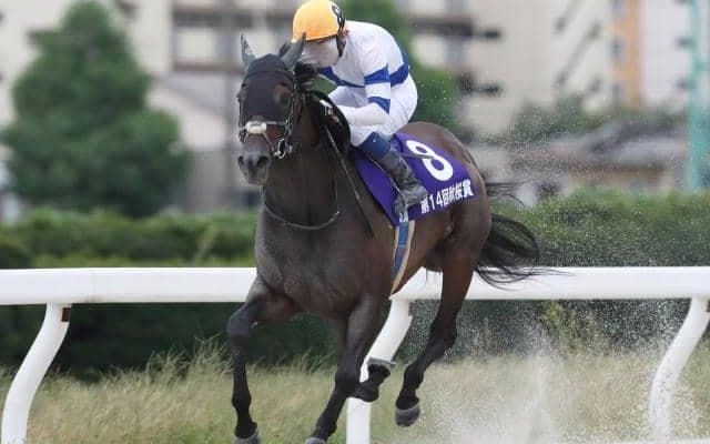 【JBCレディスクラシック】アッキー・サラーブ・サルサディオーネなど地方所属の選定馬