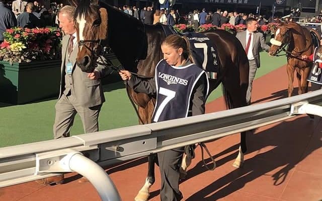 【豪・コックスプレート】愛・A.オブライエン厩舎のマジックワンドが出走取消