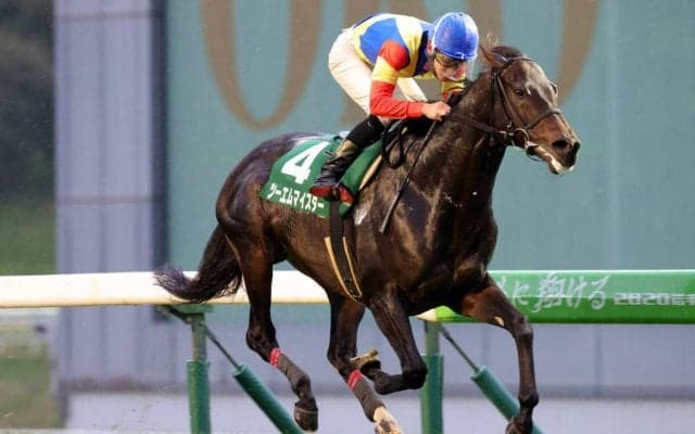 【盛岡・OROターフスプリント】ツーエムマイスターが4馬身差で圧勝！