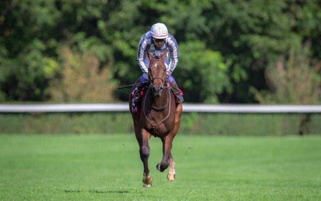 仏重賞勝ち馬 サヴァランが引退、繁殖入り