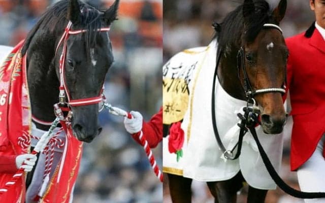 【菊花賞の見どころ】無敗の三冠馬誕生なるか　コントレイルが父ディープインパクト以来の偉業達成を狙う