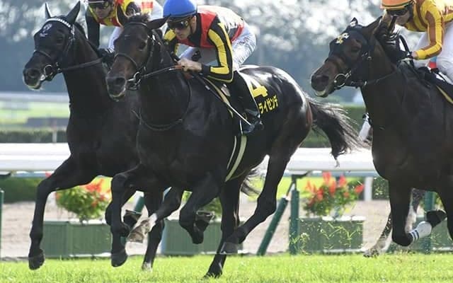 【菊花賞予想】コントレイル唯一の不安材料は母系に入るストームキャット！ ヴェルトライゼンデの兄弟制覇に一票/JRAレース展望