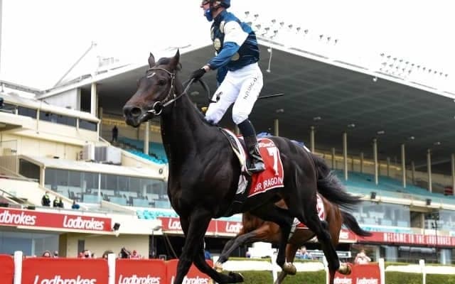 【豪・コックスプレート】昨年の英ダービー1番人気サードラゴネットがG1初制覇、節目の第100回開催制す/海外競馬レース結果