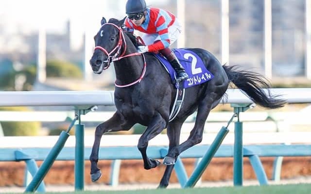 【菊花賞予想】 史上3頭目の無敗の3冠へ向けて視界良好!? 的中のポイントはコントレイルの相手探し!?/JRAレース展望