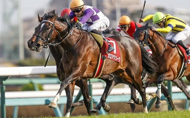【菊花賞予想】 2週連続での無敗の3冠馬誕生なるのか？ 消去法がコントレイルの可能性を精査する！/JRAレース展望