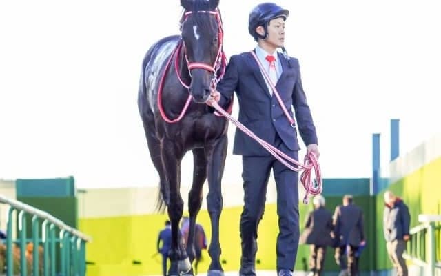 【菊花賞前日オッズ】コントレイルが1.1倍で1番人気