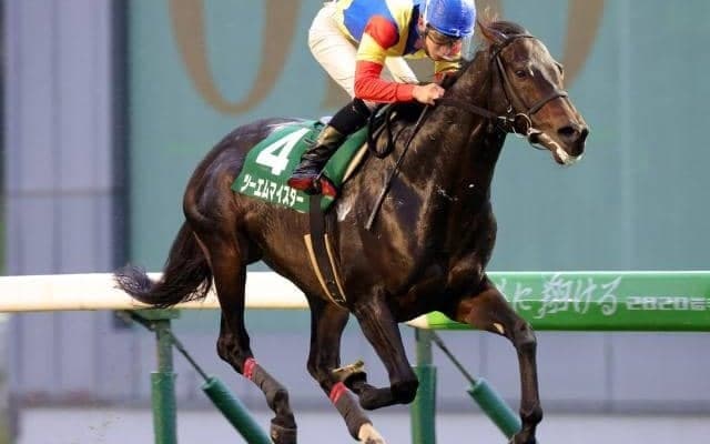 【盛岡・OROターフスプリント結果】ツーエムマイスターが移籍後3連勝で重賞初V