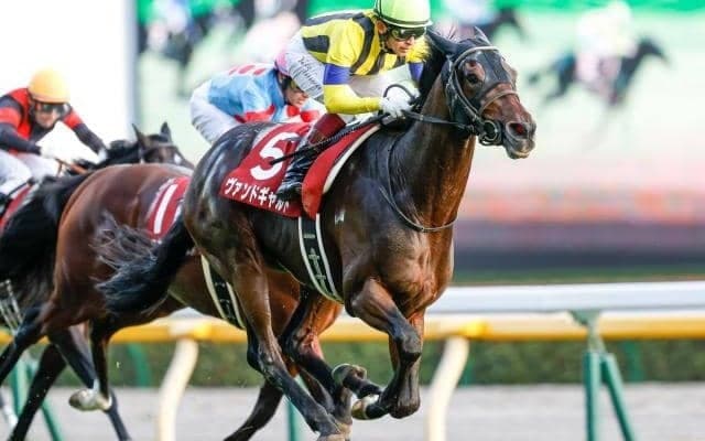 【富士S結果】ヴァンドギャルドが差し切り重賞初制覇