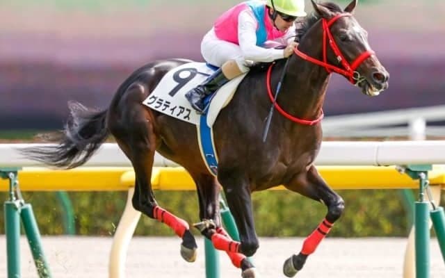 【東京5R新馬戦結果】グラティアスが逃げ切り新馬勝ち