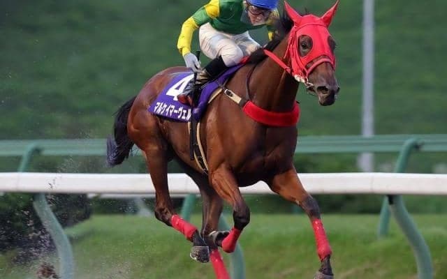 【OROオータムティアラ予想】最後の1冠はどの馬の頭上に輝くのか!?/NARレース展望