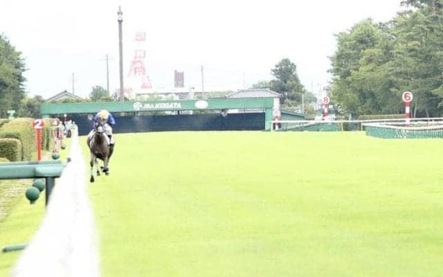 【東京5R】外ラチ逸走Vの破天荒ホース、リフレイムがまたしても規格外の走りを披露