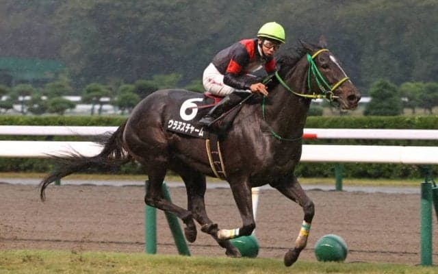 【新潟牝馬S】ウラヌスチャームが7馬身差圧勝！最内から抜け出す