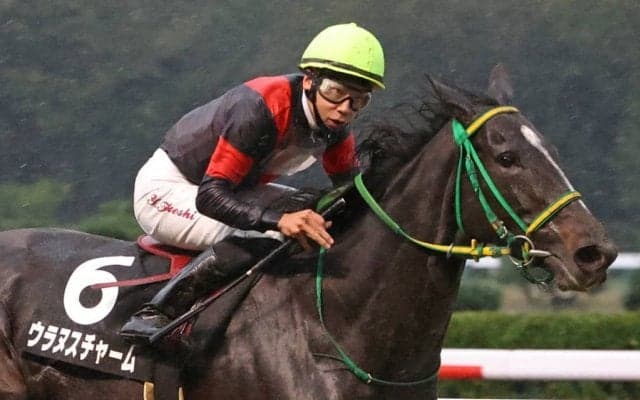 【新潟牝馬S】横山武「思い切って内から」ウラヌスチャームが7馬身差圧勝
