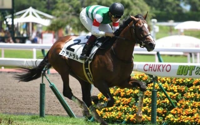 【スワンS展望】近年は差しがよく決まっている一戦、あの馬に期待したい