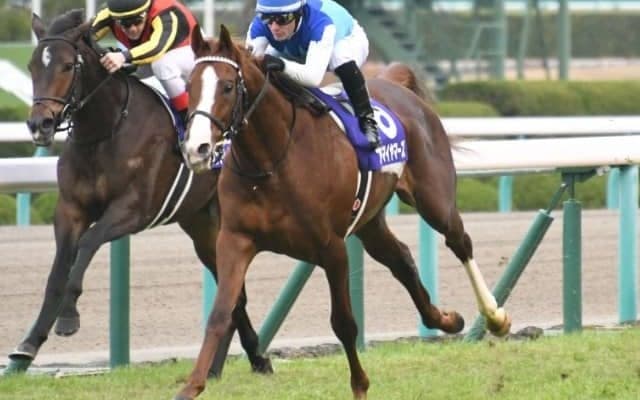 【スワンS出走馬決定順】フルゲート18頭に16頭　ベステンダンク・プロディガルサンはカシオペアSにも登録