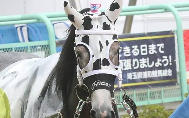【地方競馬】お馬さんだけど牛柄メンコ「ホットミルク」がデビュー！