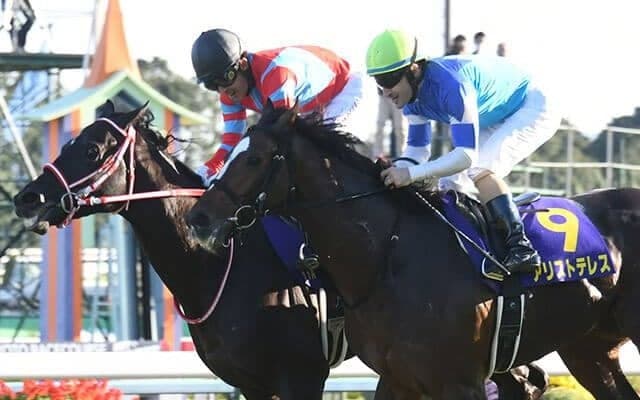 【菊花賞回顧】コントレイル　本格ステイヤー血統の挑戦を退けた能力の高さ/栗山求コラム