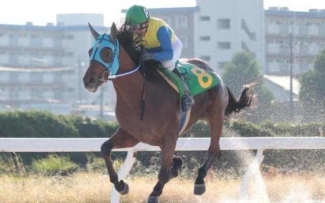 【ゴールドウィング賞予想】ナムラタイタン産駒ブンブンマル、坂路で力つけ重賞へ/NARレース展望