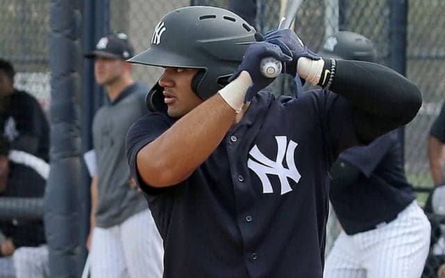 【MLB】本当に17歳？　ヤ軍、超有望株の肉体に全米驚愕「戦車のよう」「この青年は怪物」