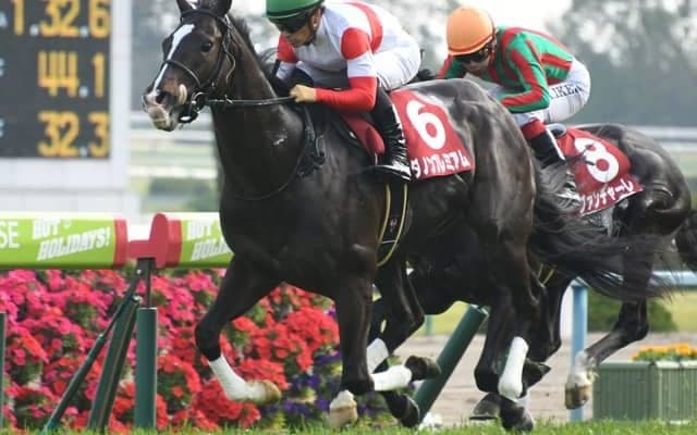 【天皇賞・秋展望】秋古馬三冠の第1弾、あの馬の巻き返しを期待したい