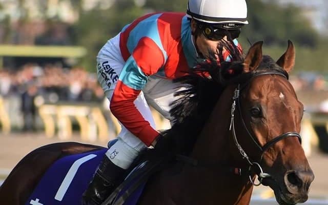 【天皇賞・秋】カデナは田辺裕信騎手と新コンビ