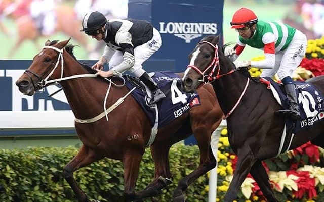 【香港ヴァーズ】登録馬55頭中21頭がG1馬　クロノジェネシス、エグザルタント、アンソニーヴァンダイクなど